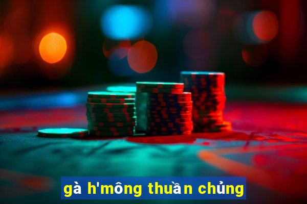 gà h'mông thuần chủng