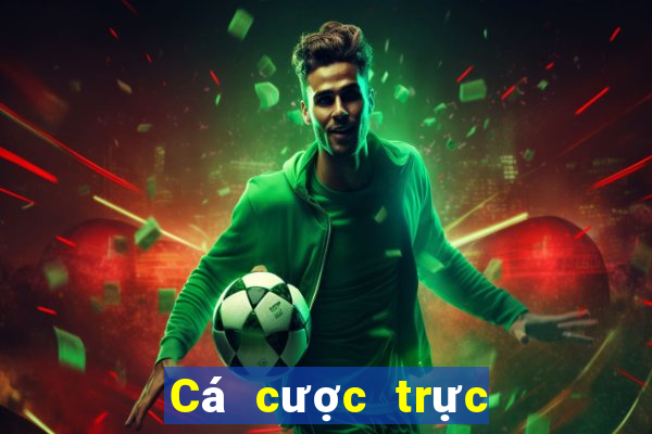 Cá cược trực tuyến play168