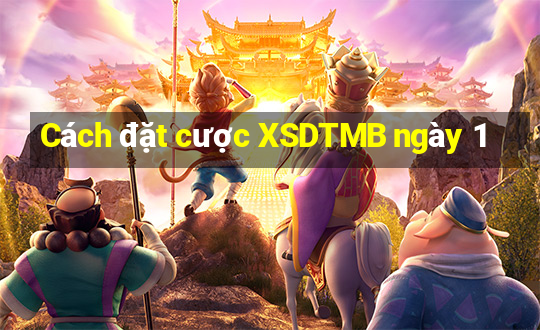 Cách đặt cược XSDTMB ngày 1