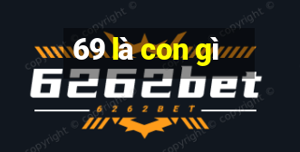 69 là con gì