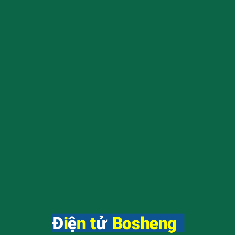 Điện tử Bosheng