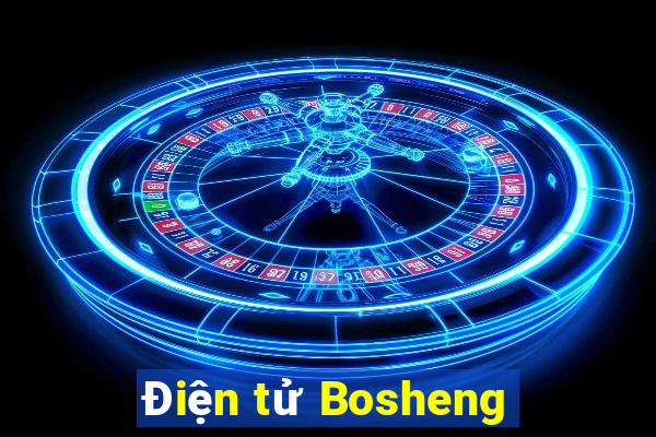 Điện tử Bosheng