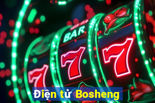 Điện tử Bosheng