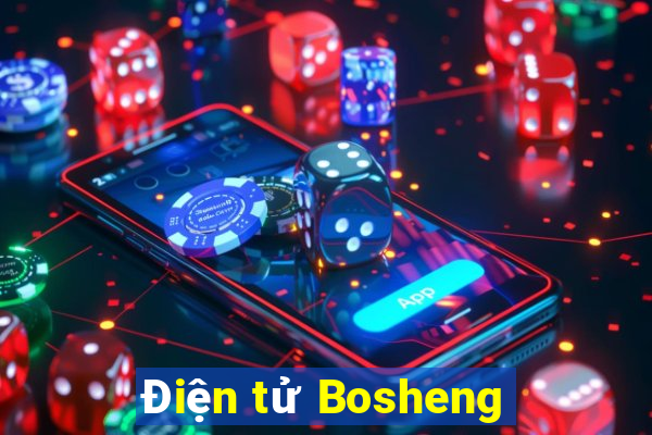 Điện tử Bosheng