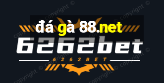 đá gà 88.net