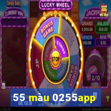 55 màu 0255app