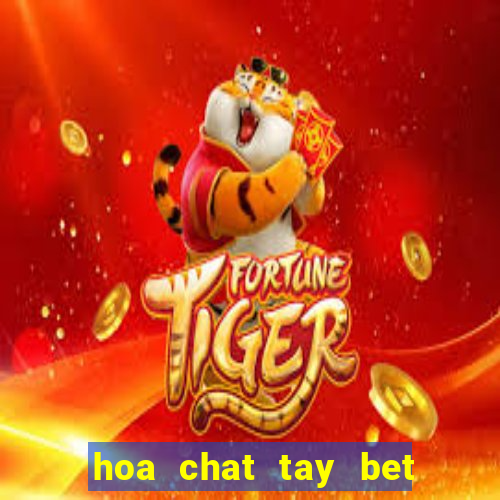 hoa chat tay bet clo bam