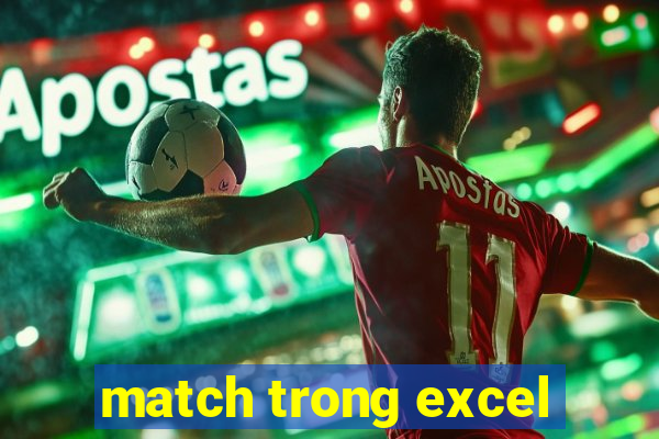 match trong excel