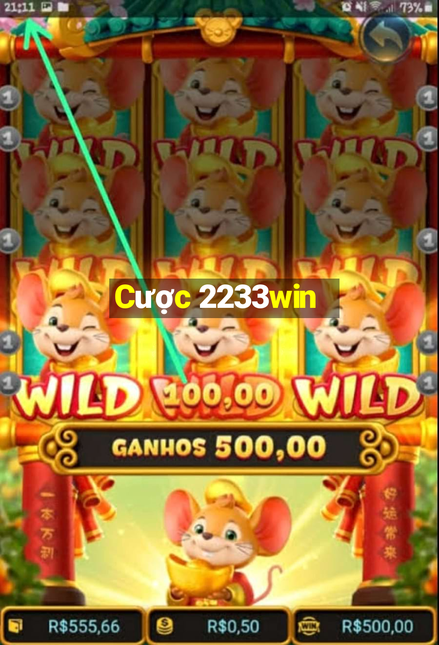 Cược 2233win