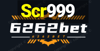 Scr999