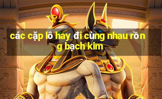 các cặp lô hay đi cùng nhau rồng bạch kim