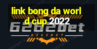 link bong da world cup 2022