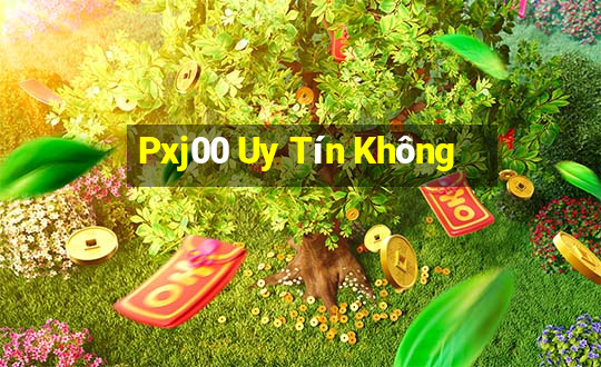 Pxj00 Uy Tín Không