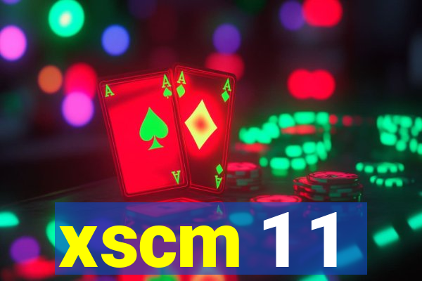 xscm 1 1