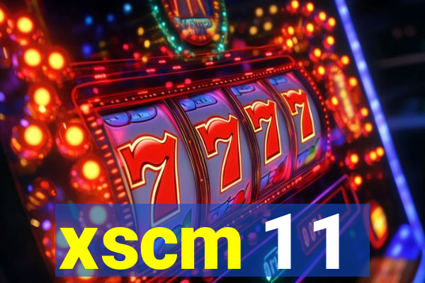 xscm 1 1