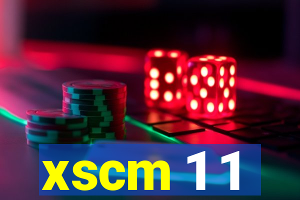 xscm 1 1