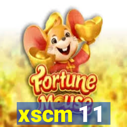 xscm 1 1