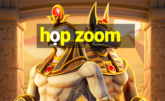 họp zoom