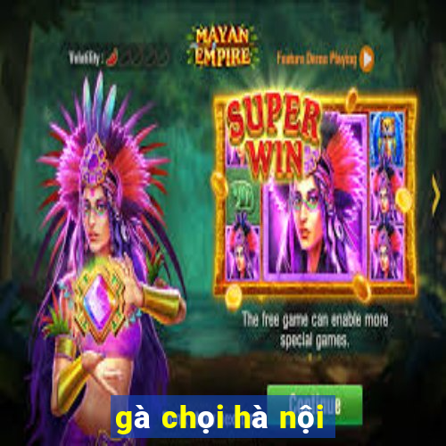 gà chọi hà nội