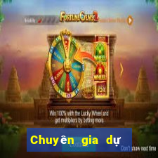 Chuyên gia dự đoán trận đấu bóng rổ