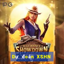 Dự đoán XSHN ngày 13