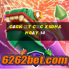 Cách đặt cược XSDNA ngày 14