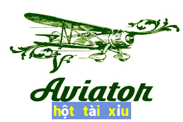 hột tài xỉu bình thường