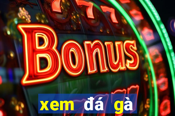 xem đá gà trực tiếp casino