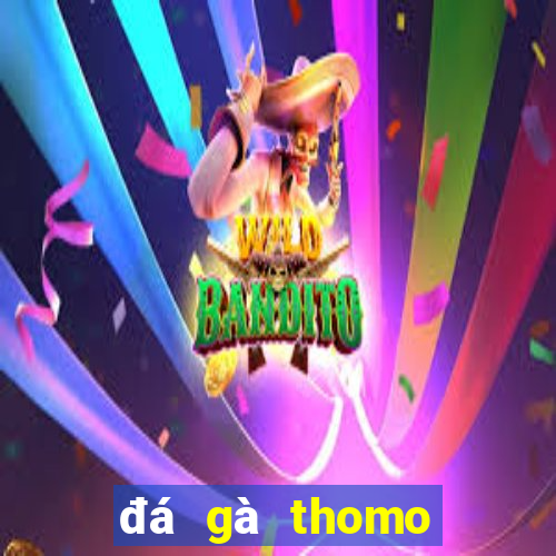 đá gà thomo trận 19 hôm nay