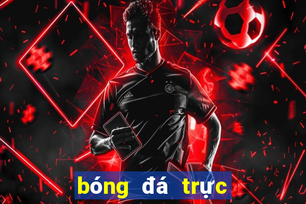 bóng đá trực tuyến cúp c1