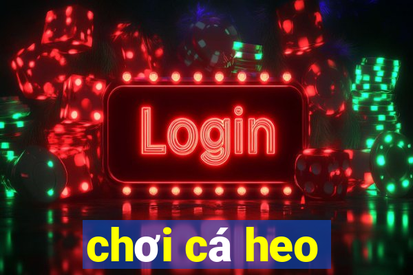 chơi cá heo