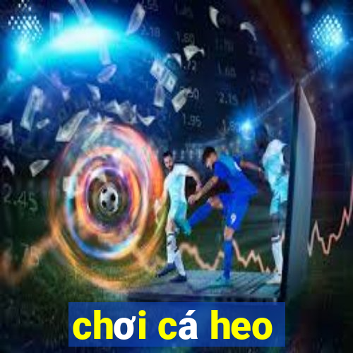 chơi cá heo