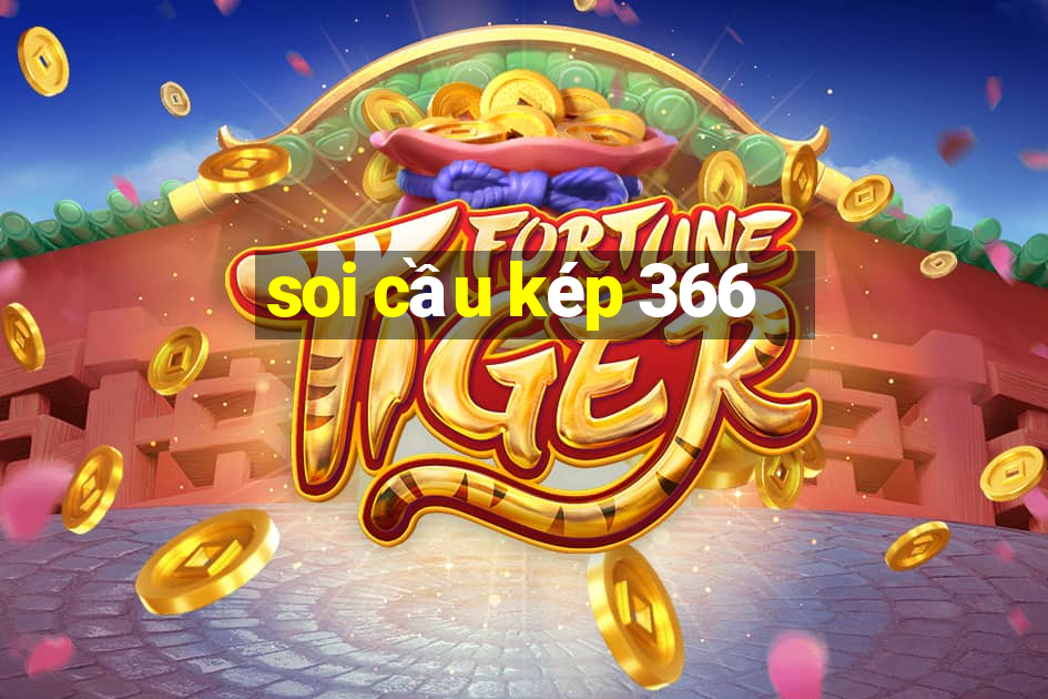 soi cầu kép 366