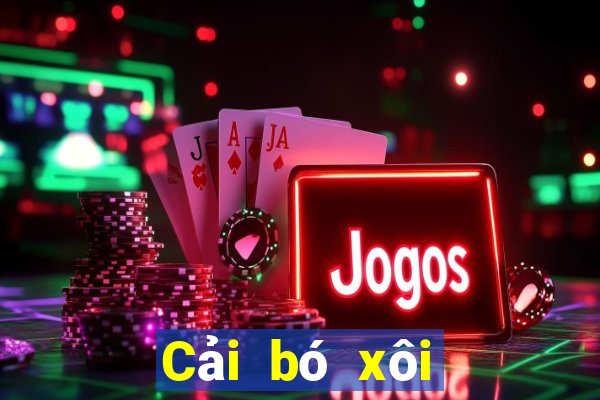 Cải bó xôi Game Giải trí Fun88 tải về