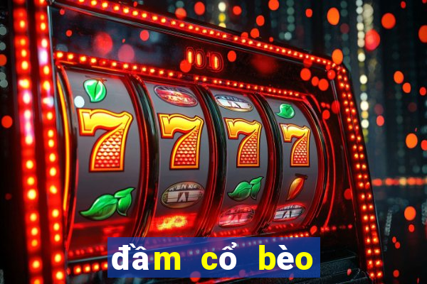 đầm cổ bèo bẹt vai