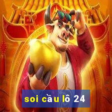 soi cau lo 24