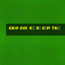 cho coi xổ số cần thơ