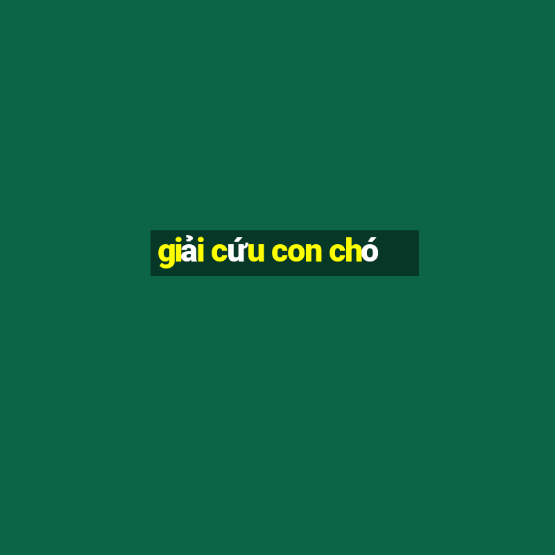 giải cứu con chó