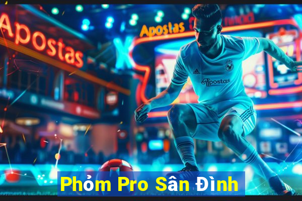 Phỏm Pro Sân Đình