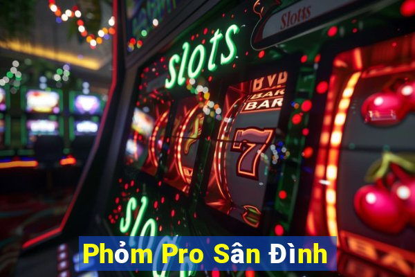 Phỏm Pro Sân Đình