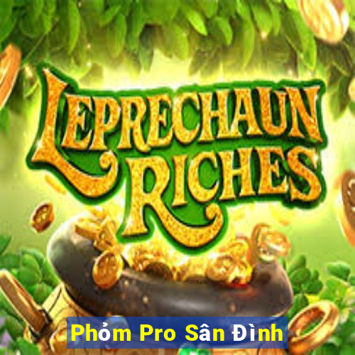 Phỏm Pro Sân Đình