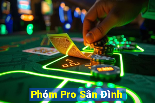 Phỏm Pro Sân Đình