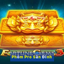 Phỏm Pro Sân Đình