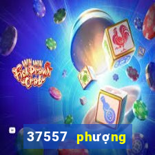 37557 phượng hoàng Đăng nhập