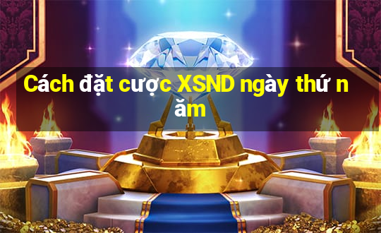 Cách đặt cược XSND ngày thứ năm