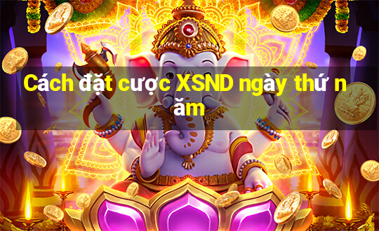 Cách đặt cược XSND ngày thứ năm