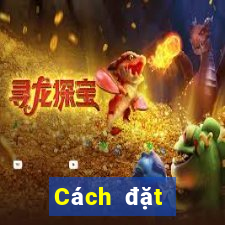 Cách đặt cược XSTB ngày 7