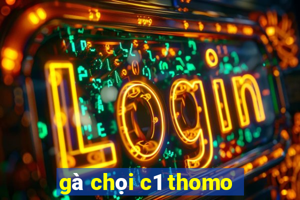 gà chọi c1 thomo