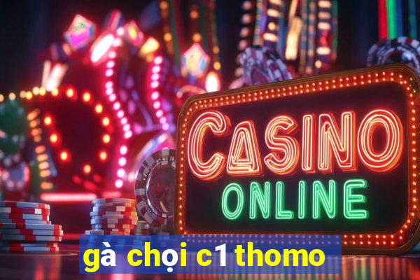 gà chọi c1 thomo