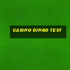 casino dingo test